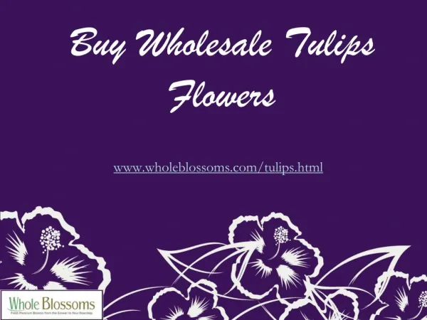 Buy Wholesale Tulips Flowers - www.wholeblossoms.com