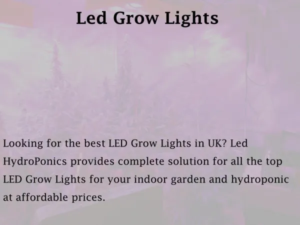 Led Grow Lights - ledhydroponics.co.uk