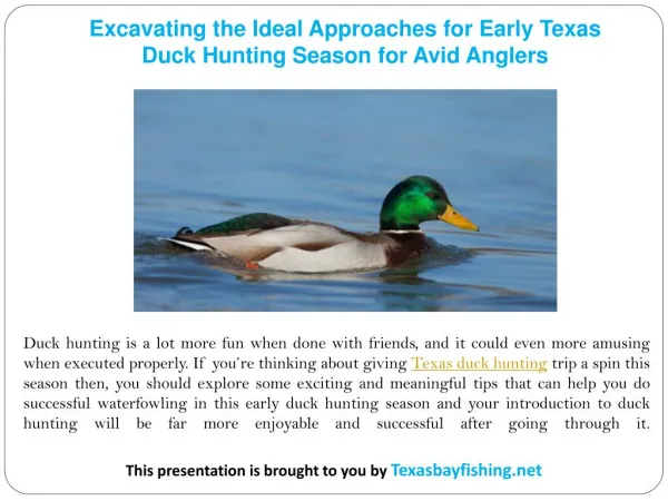 Excavating the Ideal Approaches for Early Texas Duck Hunting Season for Avid Anglers