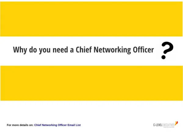 Why Chief Networking Officer is Required?