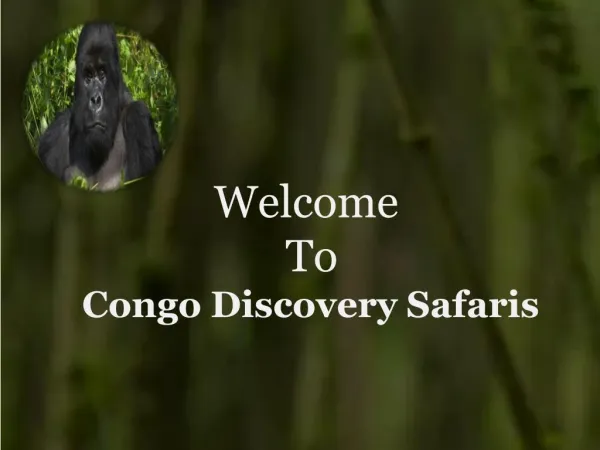 Gorilla Trekking Safaris in Congo
