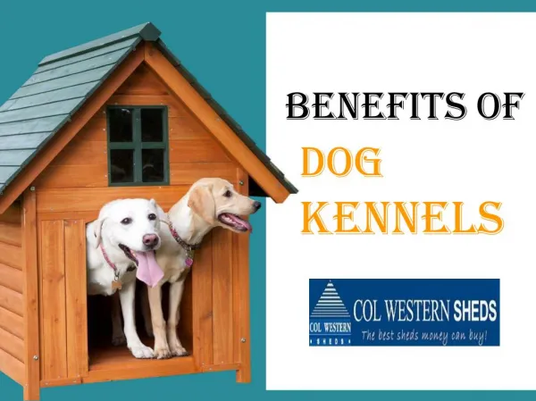 Benefits of Dog Kennels
