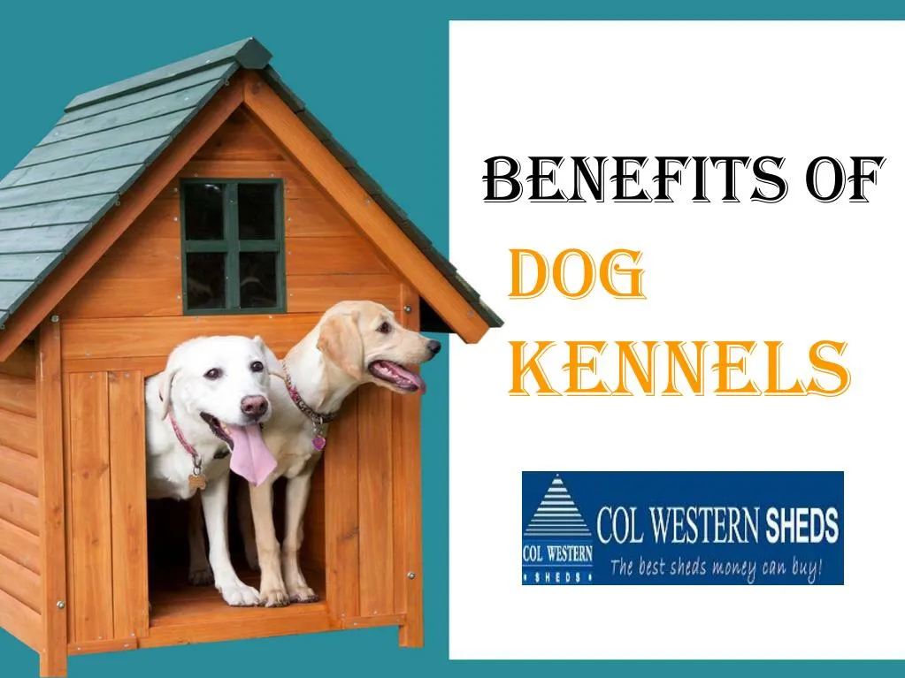benefits of dog kennels