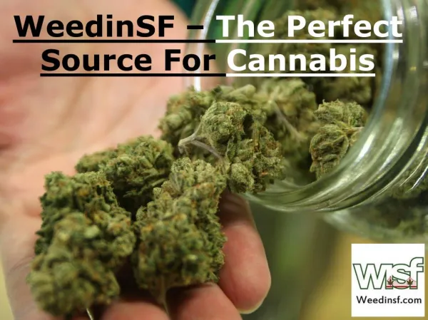 WeedinSF – The Perfect Source For Cannabis