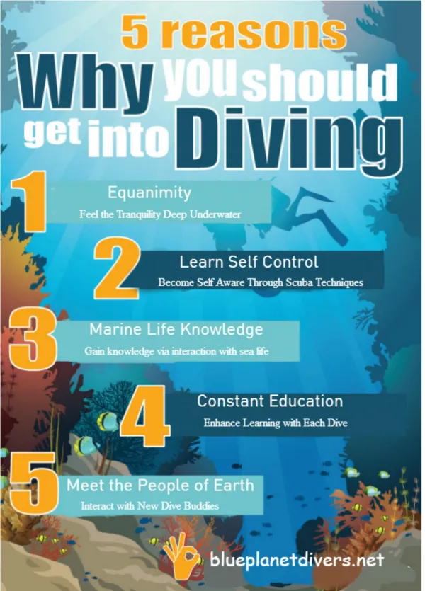 5 Reasons Why You Should Get into Diving