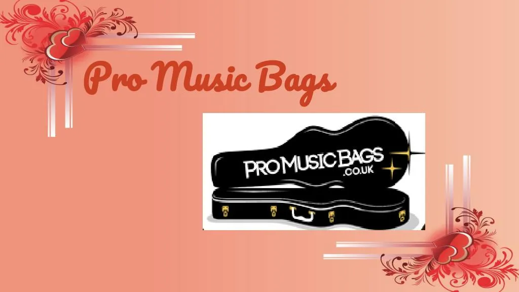 pro music bags