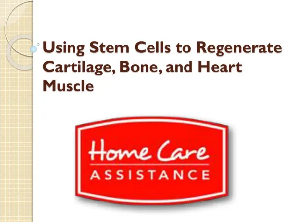 Using Stem Cells to Regenerate Cartilage, Bone, and Heart Muscle