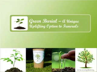 Green Burial – A Unique Uplifting Option to Funerals - slide 1