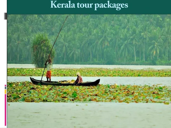 Best Kerala Family Tour Packages