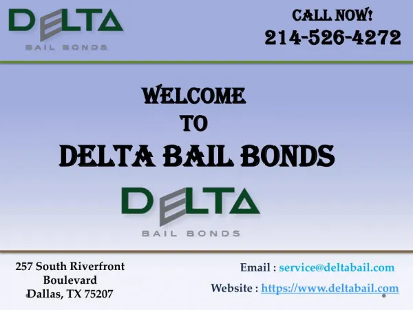 Bail bonds Arlington