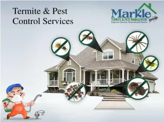 Termite & Pest Control Services - slide 1