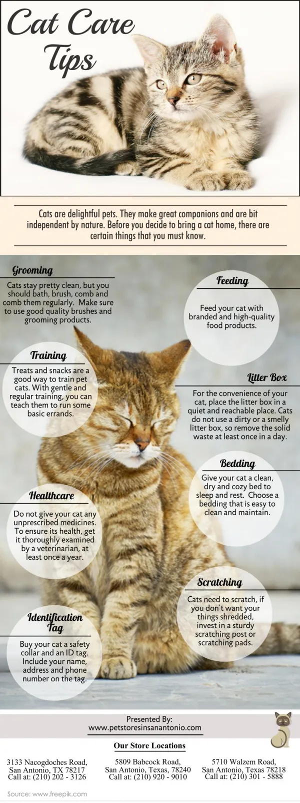 Cat Care Tips