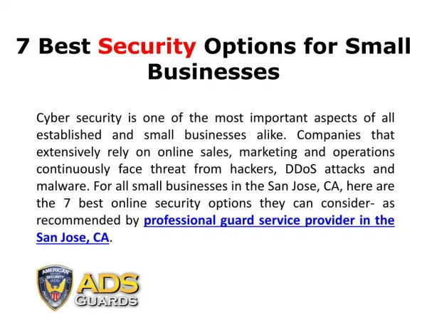 7 Best Security Options for Small Businesses