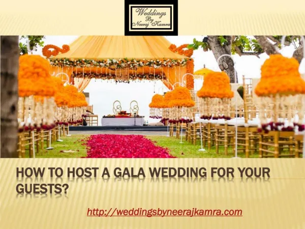 How to Host a Gala Wedding for your Guests?