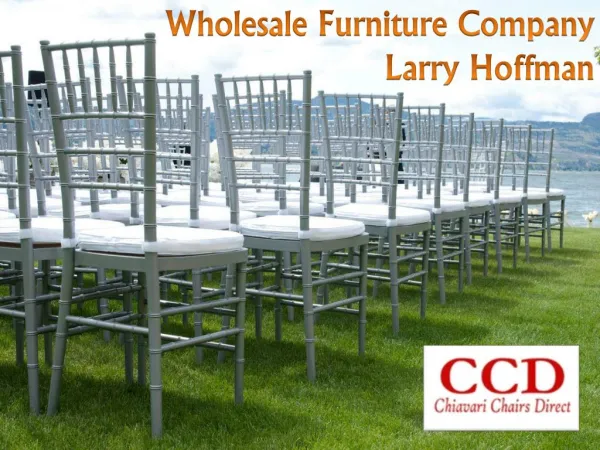 Wholesale Furniture Company Larry Hoffman