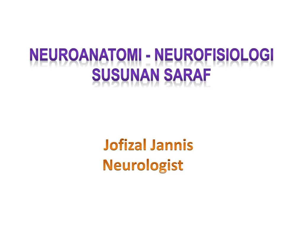 neuro anatom i neuro fisiologi susunan saraf