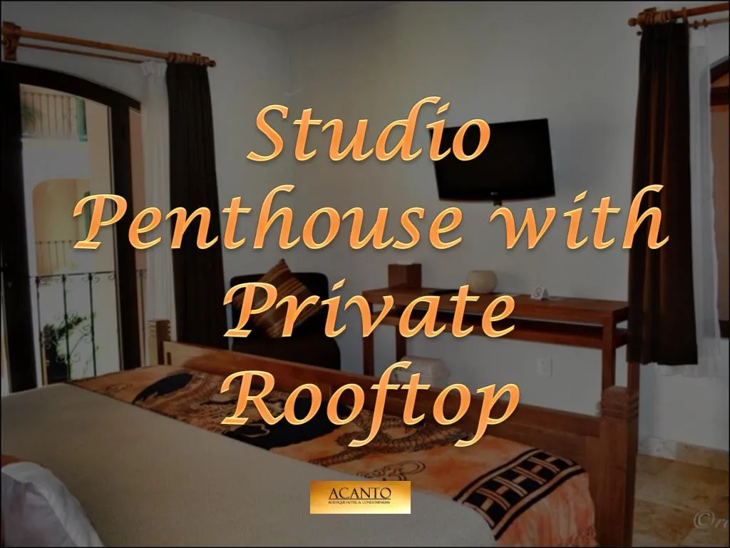studio penthouse with private rooftop