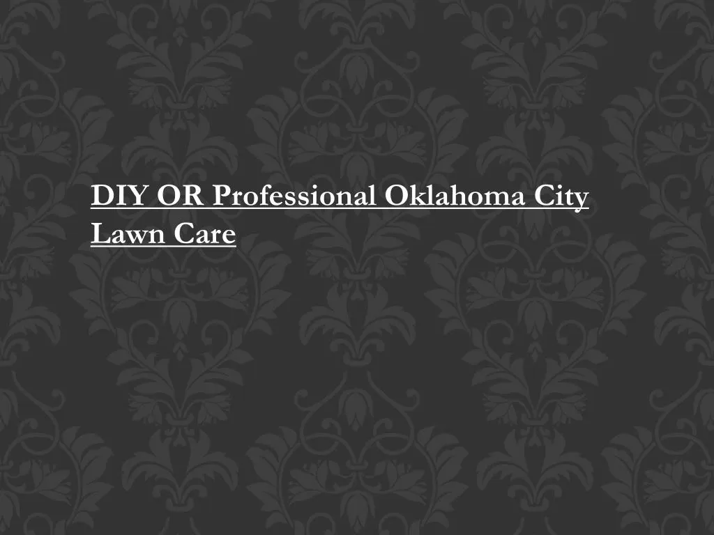diy or professional oklahoma city lawn care