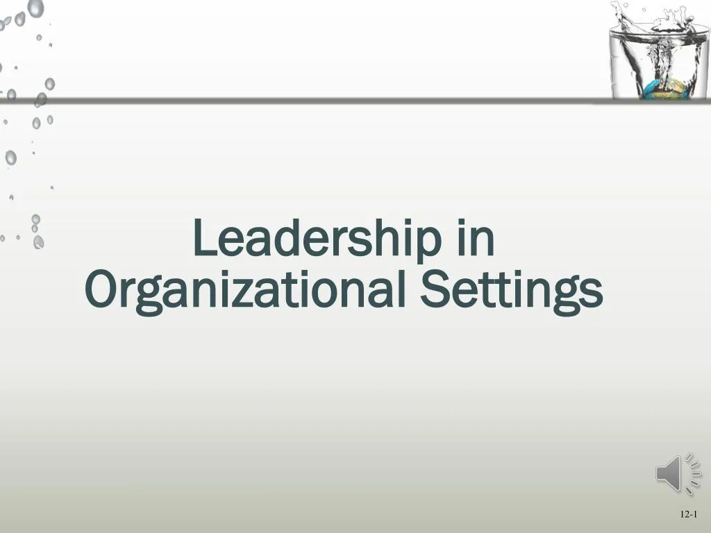 leadership in organizational settings