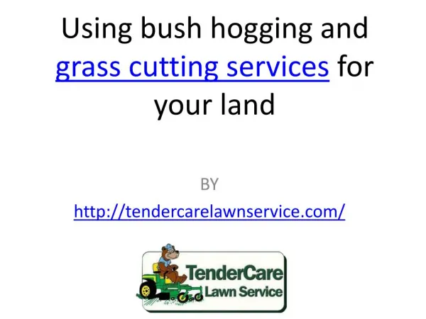 Using bush hogging and grass cutting services for your land