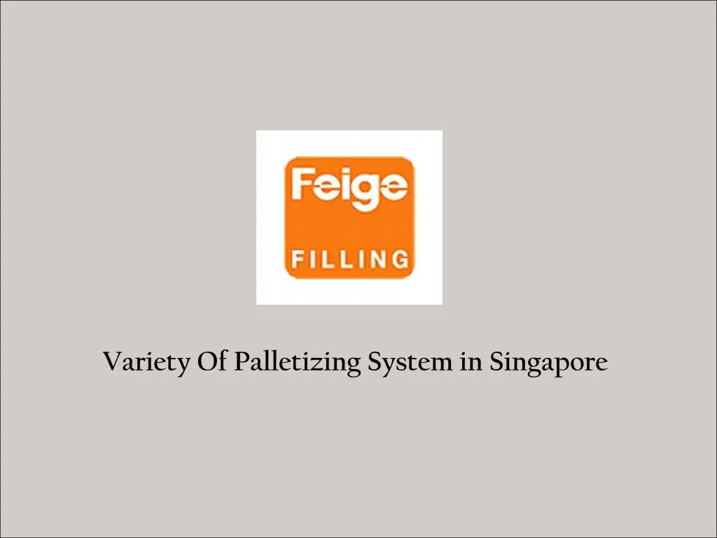 variety of palletizing system in singapore