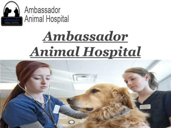 Ambassador Animal Hospital-Veterinarian Windsor