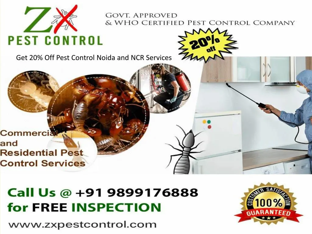 get 20 off pest control noida and ncr services
