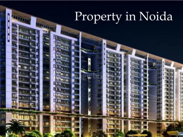 Property in Noida