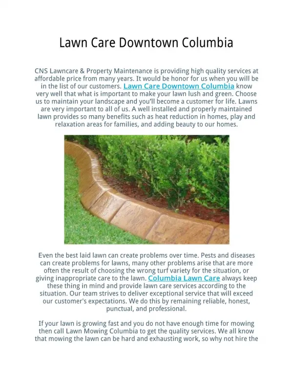 Lawn Care Downtown Columbia