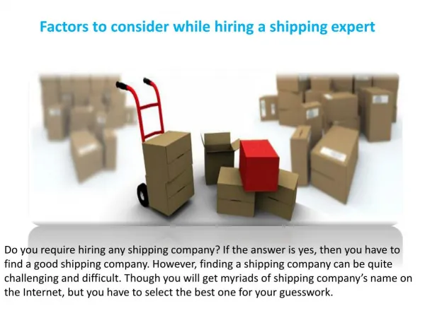 Bluehingemedia Factors to consider while hiring a shipping expert
