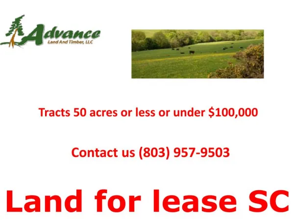 Land for lease SC