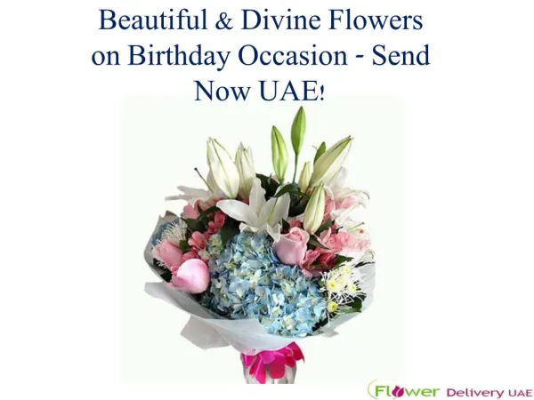 Beautiful & Divine Flowers on Birthday Occasion - Send Now UAE!