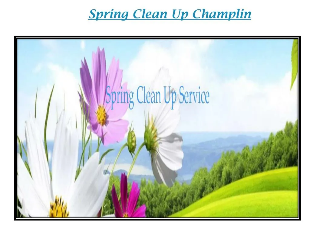 spring clean up champlin