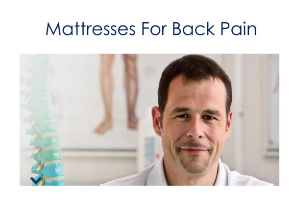 Best Mattress for Back Pain