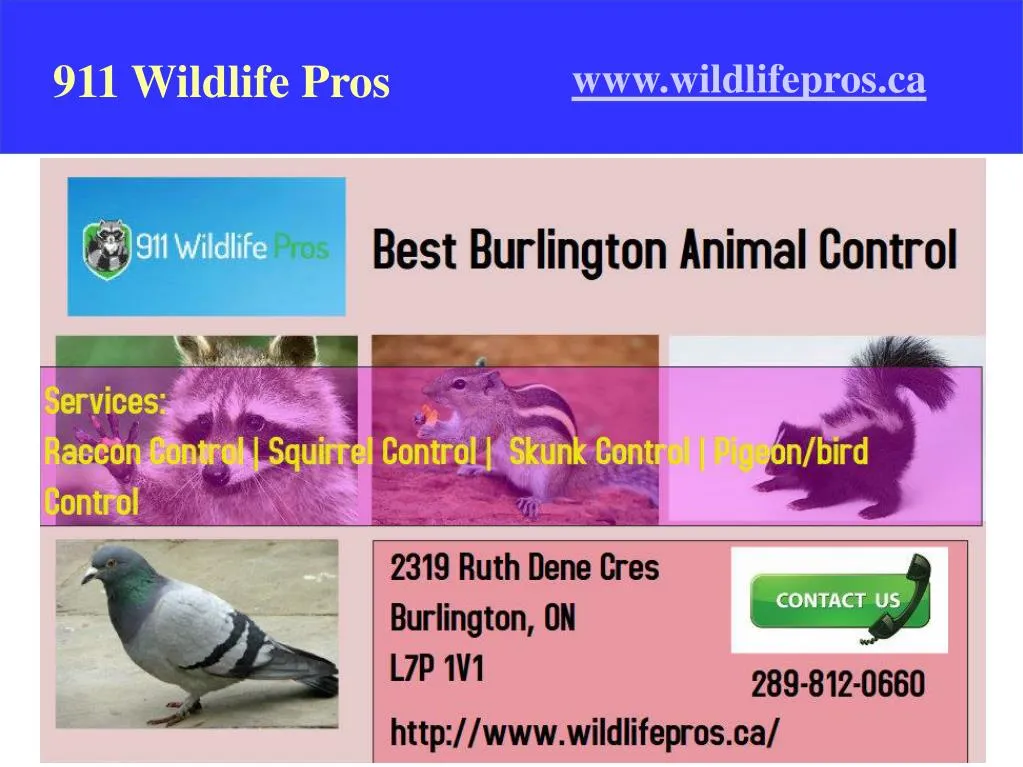 911 wildlife pros