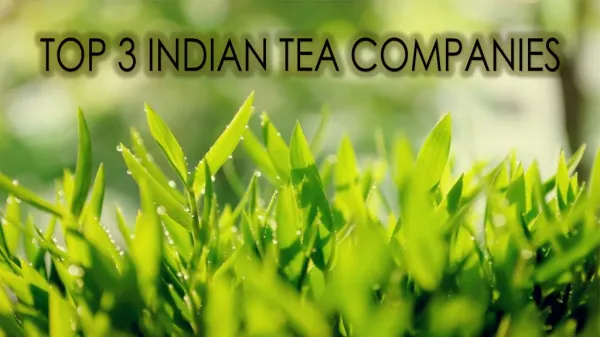 Top 3 Indian Tea Companies