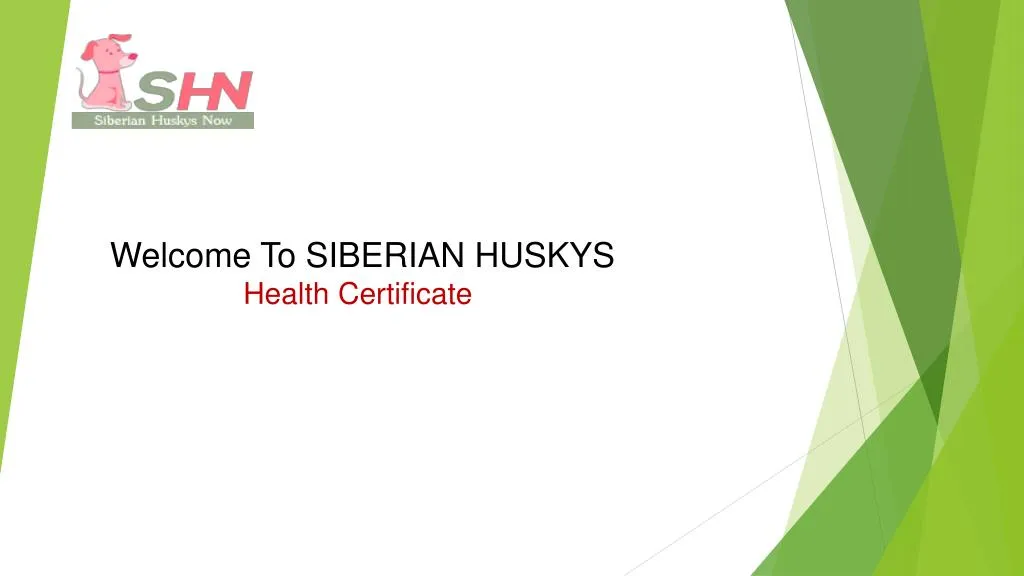 welcome to siberian huskys health certificate