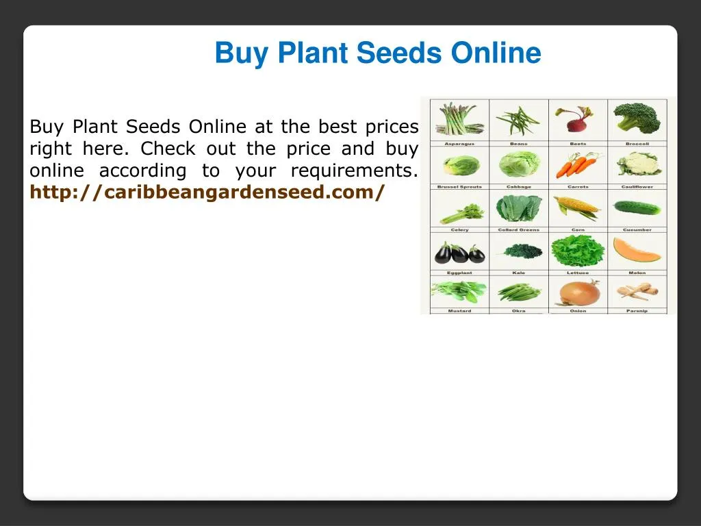 buy plant seeds online