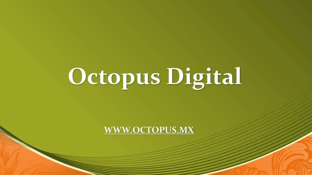 octopus digital