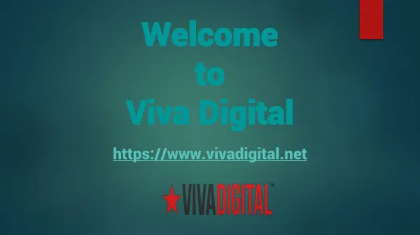 Website Design ?on the Sunshine Coast - Viva Digital