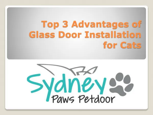 Top 3 Advantages of Glass Door Installation for Cats