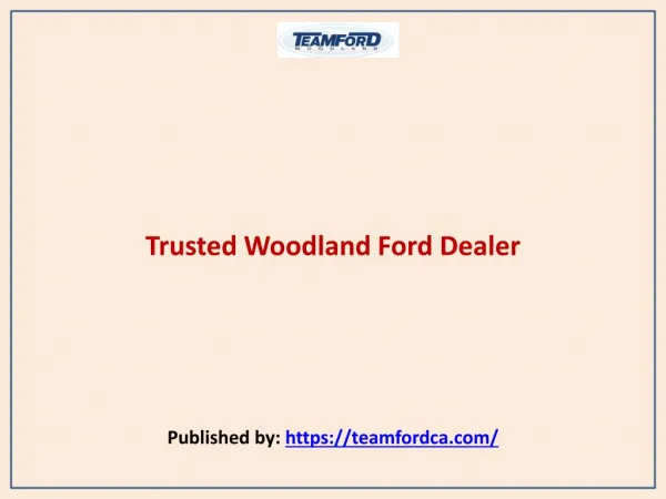 Teamford Woodland