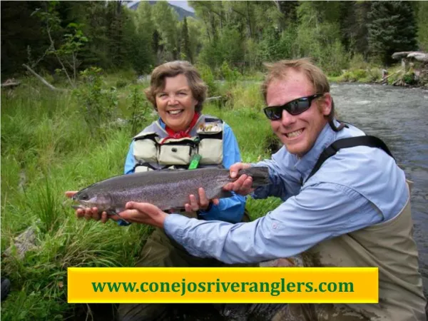 Fly fishing southern Colorado