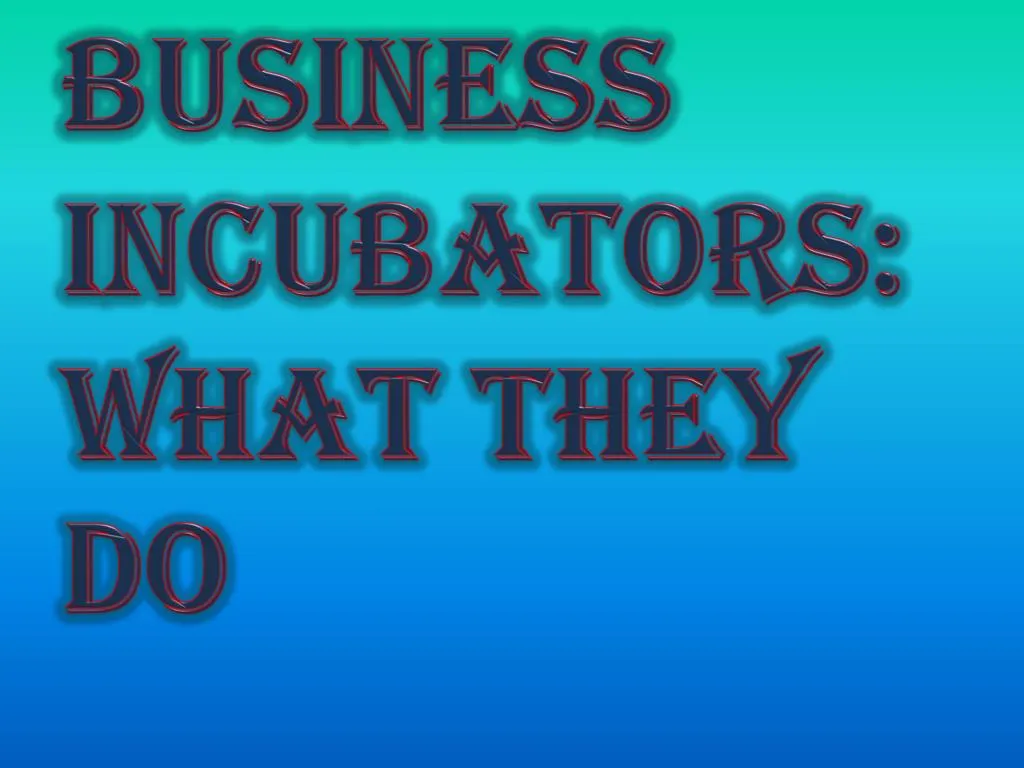 business incubators what they do