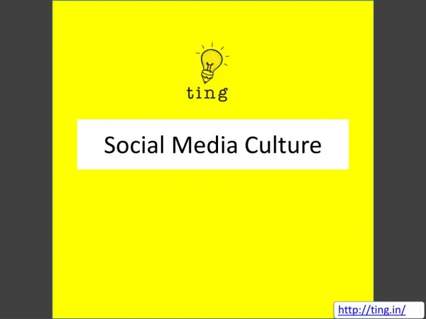 Social Media Culture