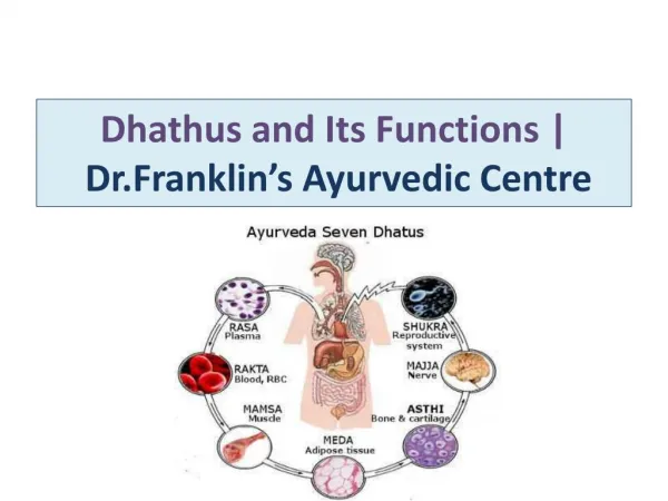 Dhathus and Its Functions | Dr.Franklin’s Ayurvedic Centre