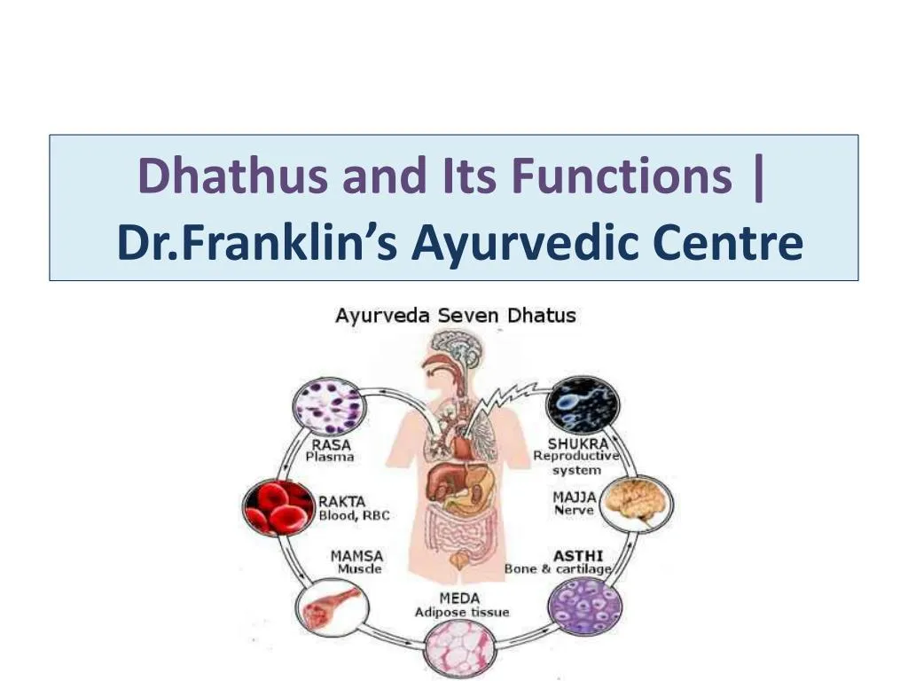 dhathus and its functions dr franklin s ayurvedic centre