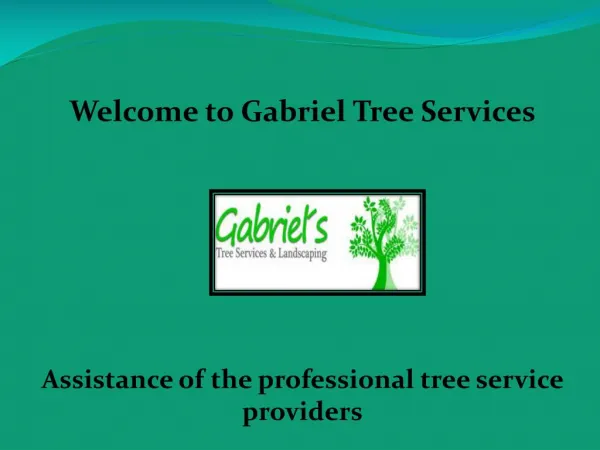 Tree Service in Los Angeles, Gabriel’s Tree Services and Landscaping