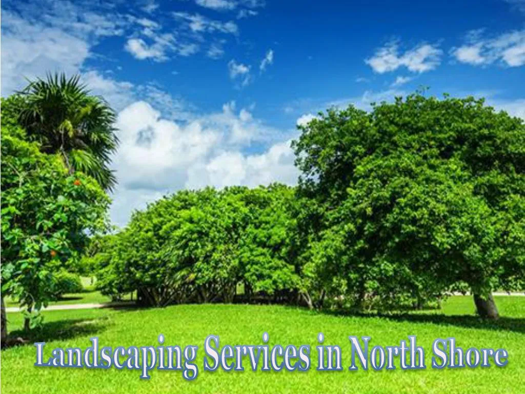 landscaping services in north shore