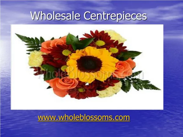 Wholesale Centrepieces - wholeblossoms
